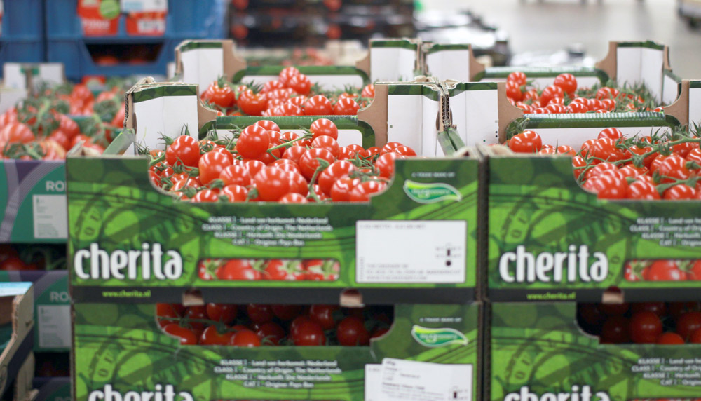 Cherita Tomaten