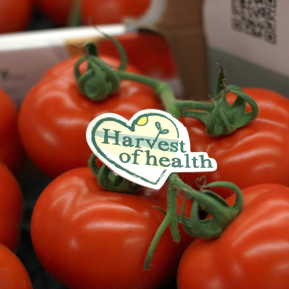 Harvest of Health Tomaten